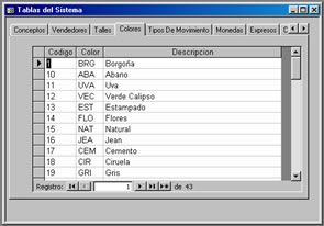 Gestión Venta de Indumentarias - Ingreso de Parámetros